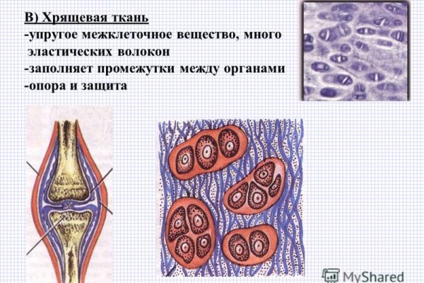 Кракен krakens13 at